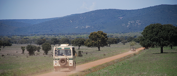 Rutas en todoterreno por el Parque Nacional de Cabañeros