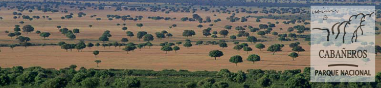 La Raña. V.García Canseco