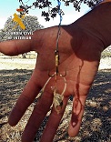 Delito contra la fauna. Colocación de medios y artes prohibidos, al objeto de “proteger” explotaciones ganaderas, del supuesto ataque de fauna silvestre.