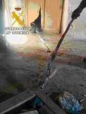 La colaboración ciudadana permite salvar la vida de uno de los canes, si bien el otro ha sido localizado muerto.