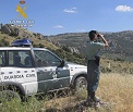 El siniestro calcinó una extensión de terreno de vegetación forestal y agrícola, localizándose en el terreno diferentes especies vegetales como encinas, chaparros, retamas, jaras y olivos. Asimismo, se pudo comprobar que el fuego no había afectado a la diversidad animal silvestre de la zona, que no se habían producido daños graves a bienes inmuebles, ni se habían puesto en peligro la integridad física de personas ajenas a la extinción.