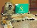 Está totalmente prohibida la importación, exportación, comercio, tenencia o circulación de géneros estancados o prohibidos y de especímenes de fauna y flora silvestres CITES, sin cumplir los requisitos legalmente establecidos, debiendo demostrar su lícita adquisición, tenencia o importación.
