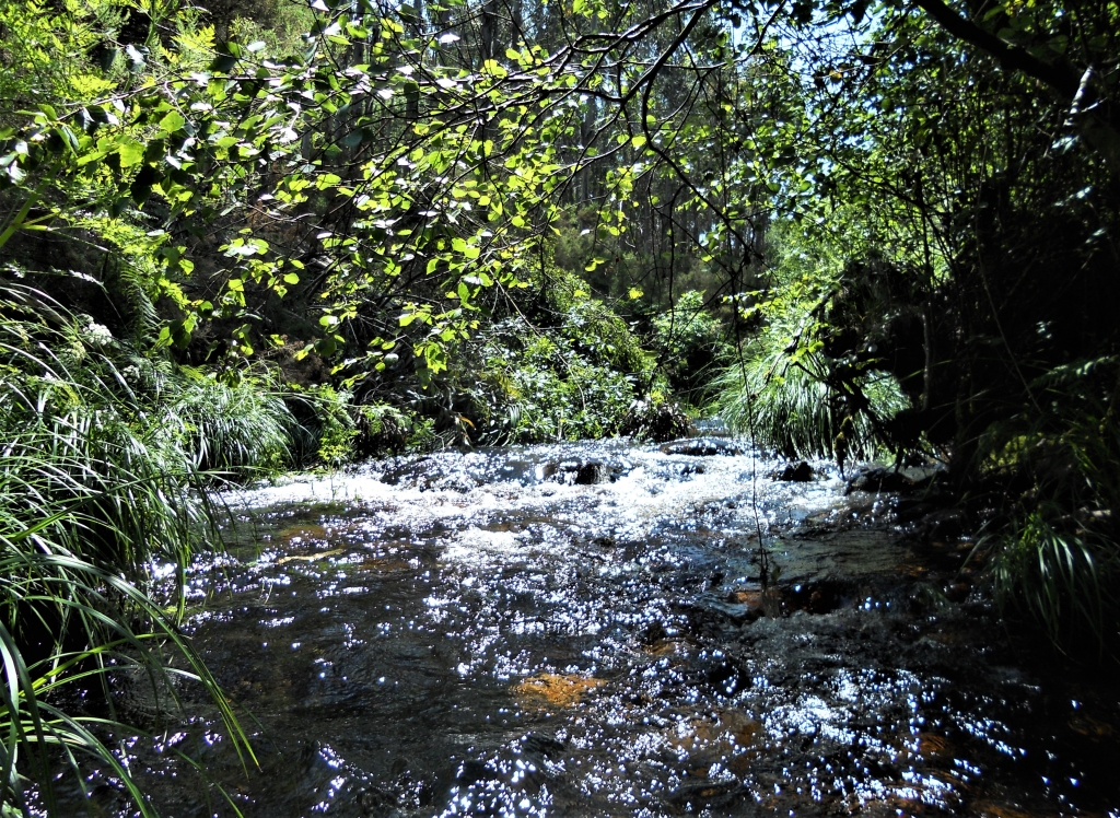 Reserva Natural Fluvial del Río Masma. Zona: Masma II