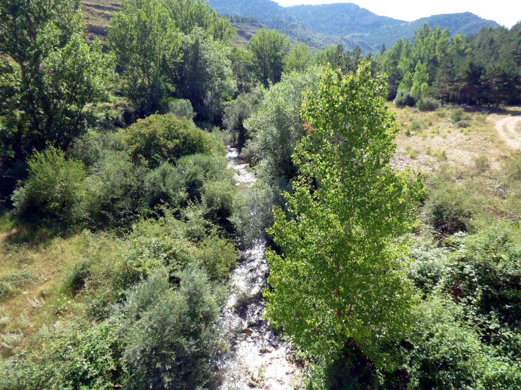 Panorámica de la vegetación de ribera continua en la reserva natural fluvial Río Villahermosa