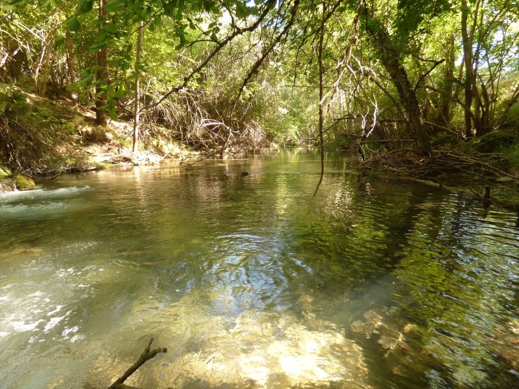 Cauce activo sombreado por la vegetación de ribera en la reserva natural fluvial Arroyo de Almagrero