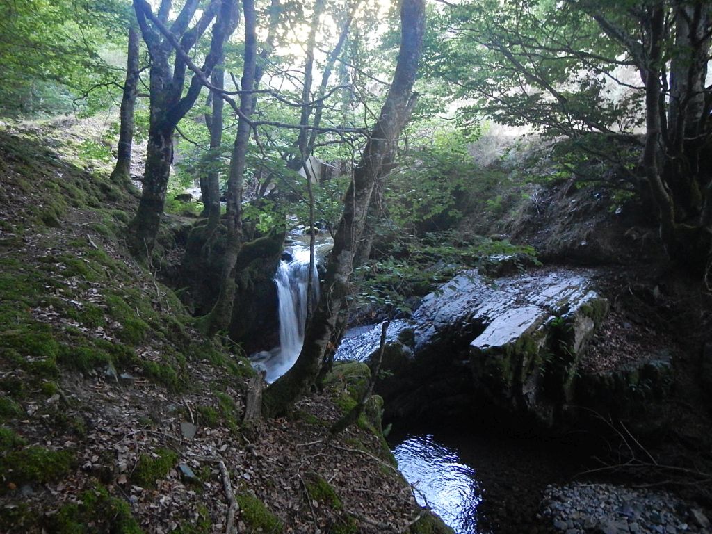 Salto de agua en la reserva natural fluvial Río Tirón