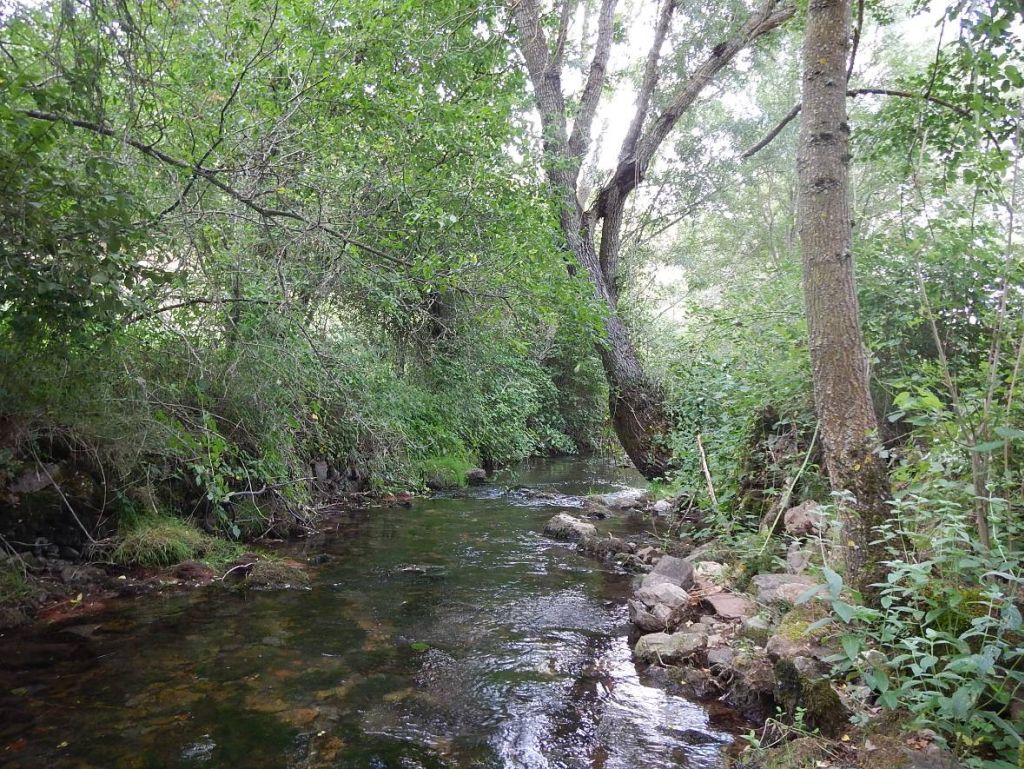 Aguas remansadas en la reserva natural fluvial Río Najerilla