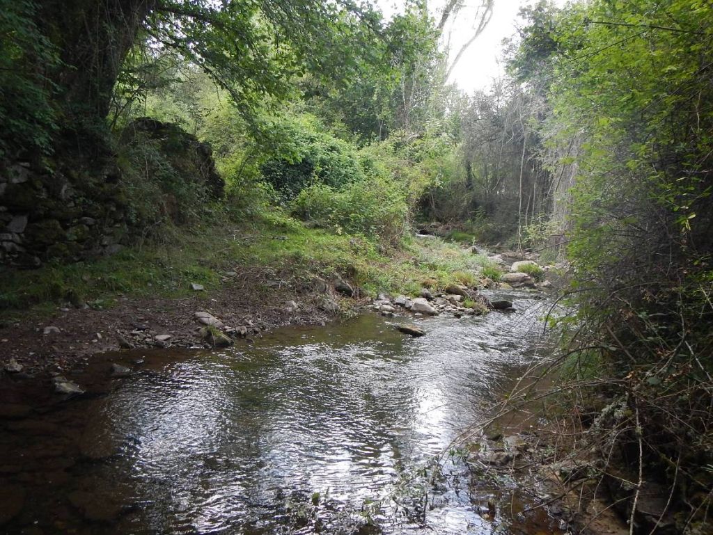 Zona de remanso con incisión en las orillas en la reserva natural fluvial Río Najerilla
