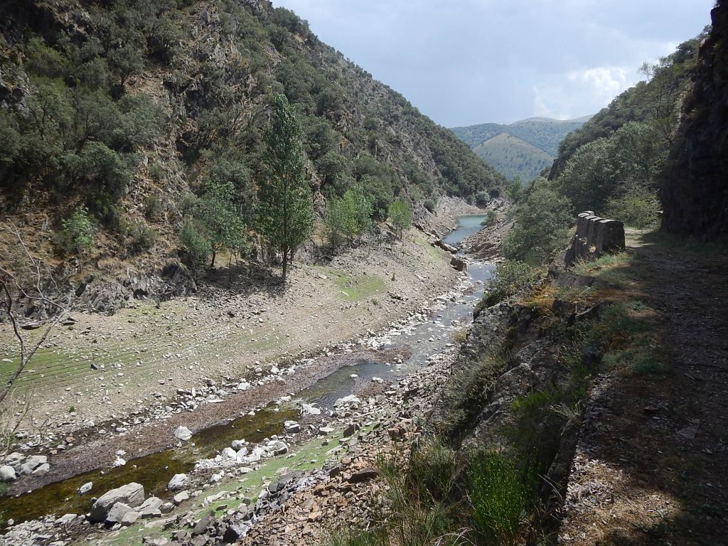 Desembocadura de la reserva natural fluvial Río Gatón en el embalse de Mansilla