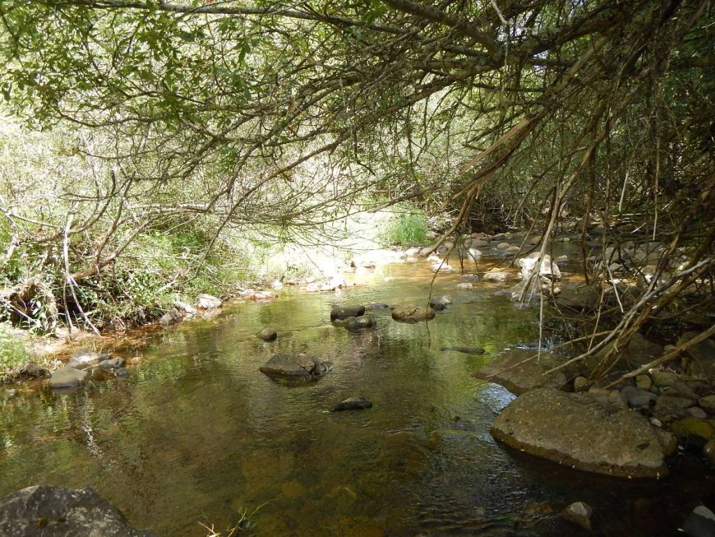 Aguas remansadas en la reserva natural fluvial Río Iregua