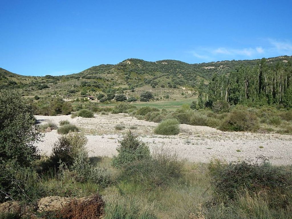 Cauce en estiaje en la reserva natural fluvial Río Arba de Luesia