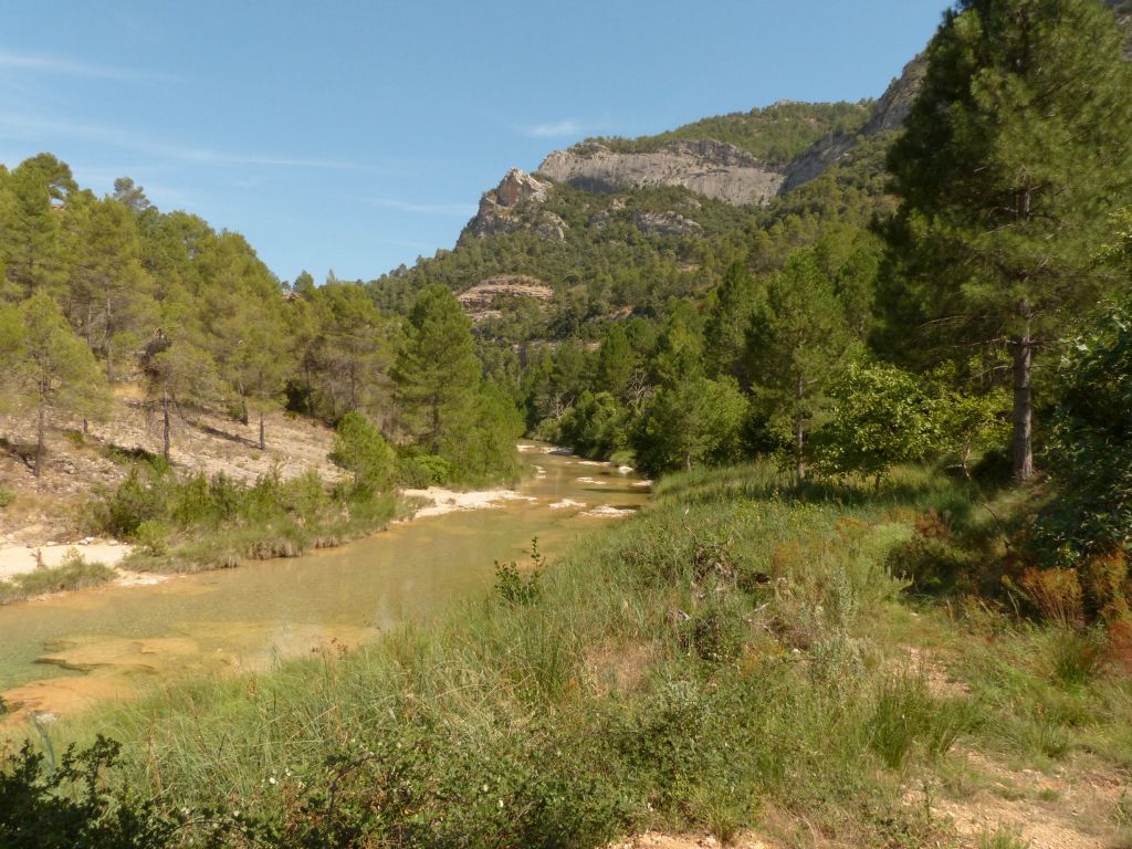 Valle confinado con vegetación de bosque mediterráneo de la reserva natural fluvial Río Ulldemó