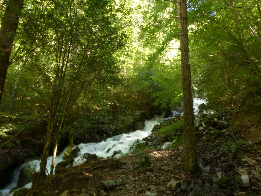 Tributario de la reserva natural fluvial Río Irués