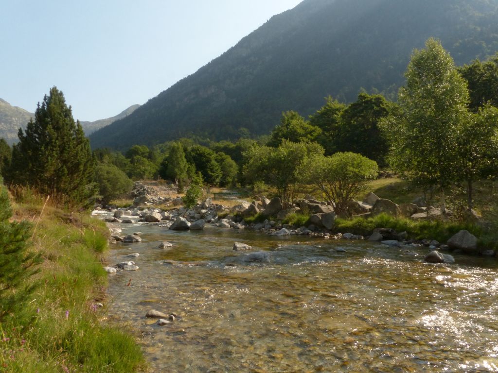 Vista general del cauce en la reserva natural fluvial Río Noguera - Ribagorzana