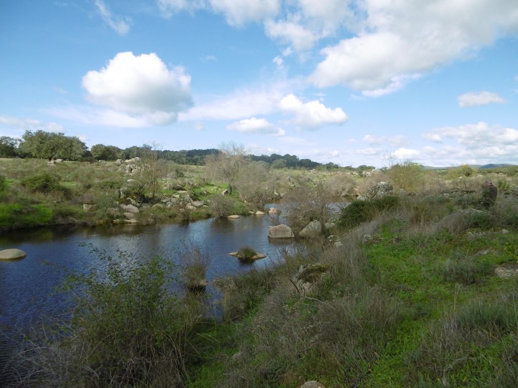 En tramos de la reserva natural fluvial Riveras de Albarragena, del Fraile y del Alcorneo hasta el río Gévora la vegetación de ribera es muy desigual, con amplias zonas en las que el arbolado está muy disperso y el estrato arbustivo es escaso