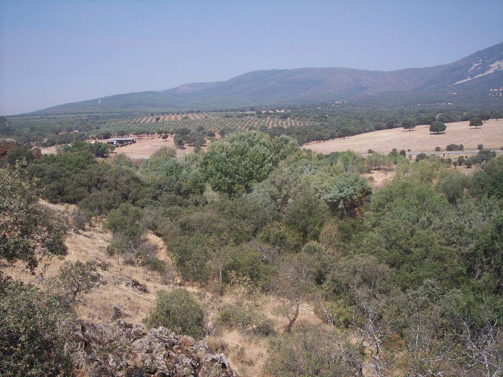 Los cultivos de olivar y aprovechamientos agropecuarios son comunes en la cuenca de drenaje de la reserva natural fluvial Río Milagro