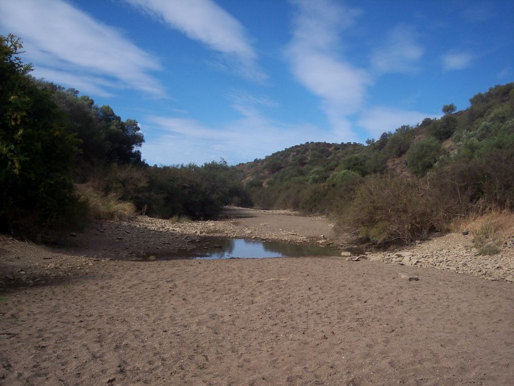 Tamujar y formación de charcas permanentes en el cauce de estiaje de la reserva natural fluvial Rivera Grande de la Golondrina