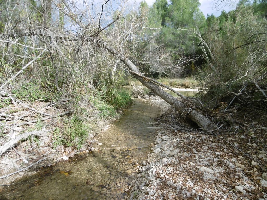 Confluencia de la reserva natural fluvial Arroyo de la Espinea con el río Segura