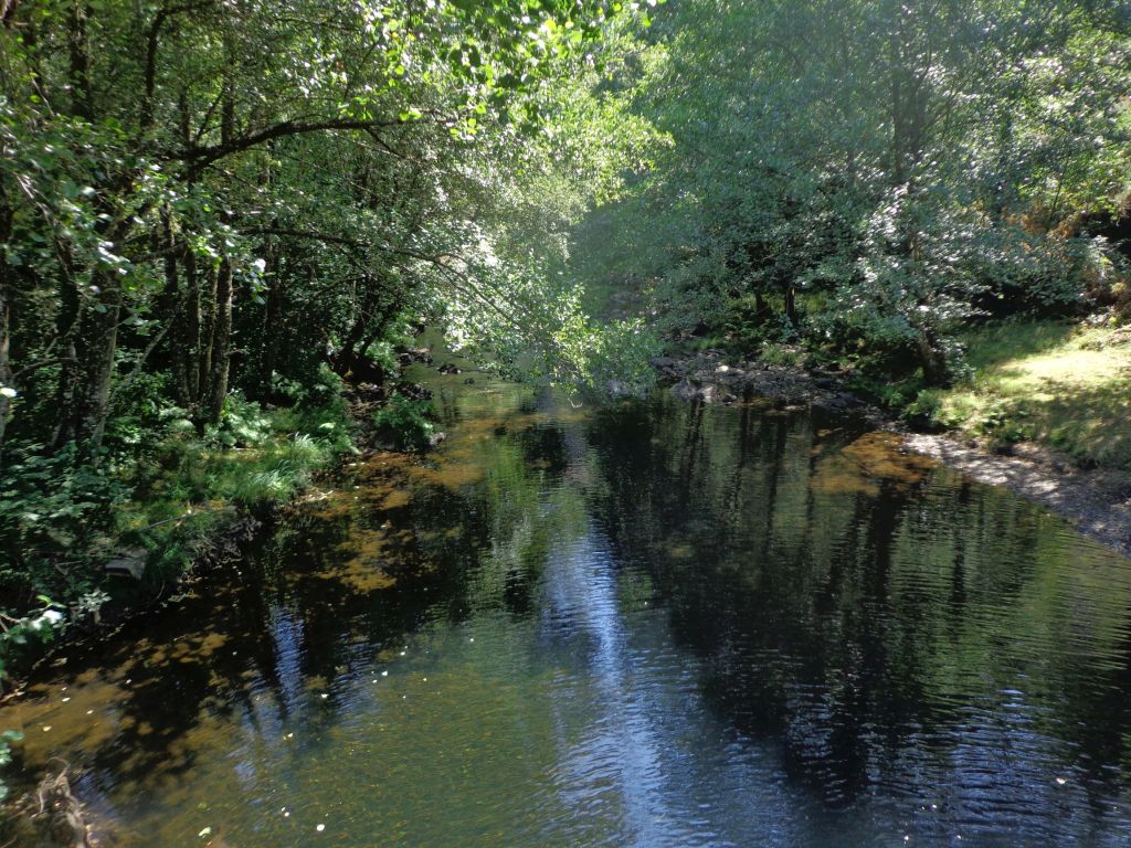 Tramo en tabla en la reserva natural fluvial Tramo medio del río Agüeira