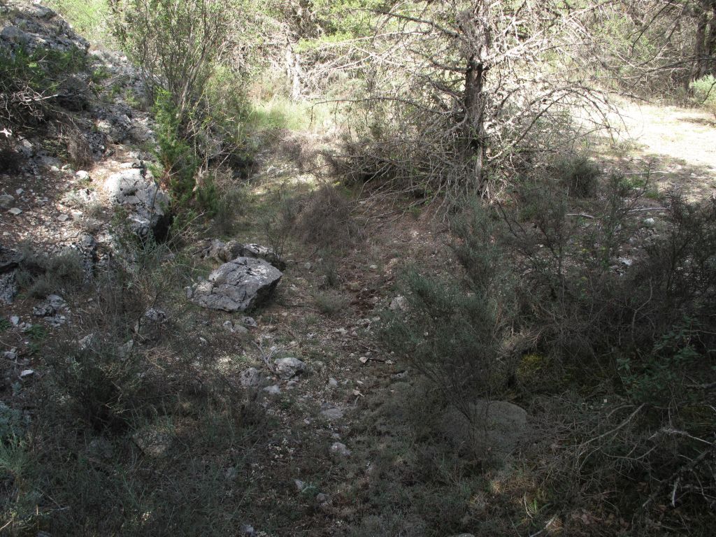 Cauce en estiaje y colonizado por vegetación en la reserva natural fluvial Río Ebrón