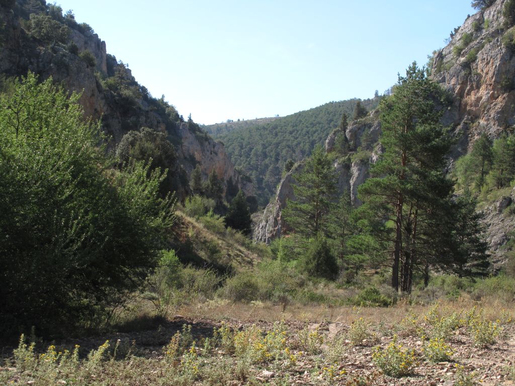 Panorámica de la reserva natural fluvial Río Noguera con el valle confinado al fondo