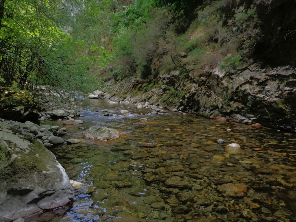 Remansos en la reserva natural fluvial Cabecera del río Ponga