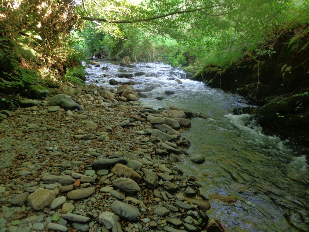Barra lateral bien formada en el cauce de la reserva natural fluvial Nacimiento del río Naviego