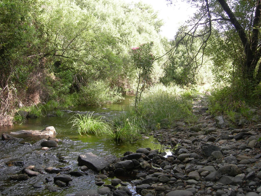 Reserva Natural Fluvial Alto Guadaiza