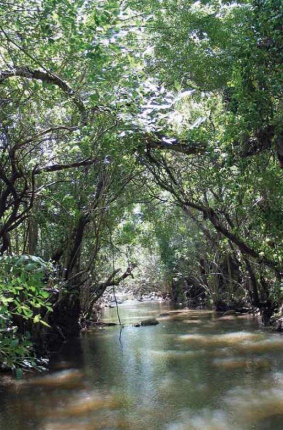 Reserva Natural Fluvial Garganta del Aljibe