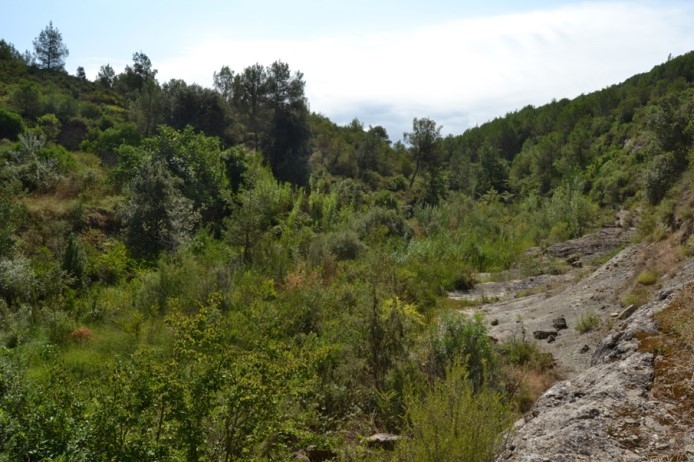 Reserva Natural Fluvial Cabecera de la Riera de Santa Creu