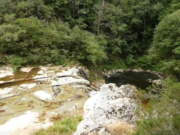 Reserva Natural Fluvial Tramo Medio de la Riera de Osor