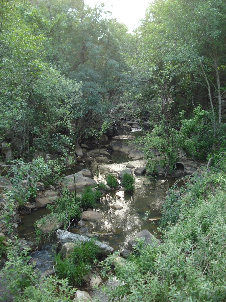 Reserva Natural Fluvial Valdeinfierno - La Hoya