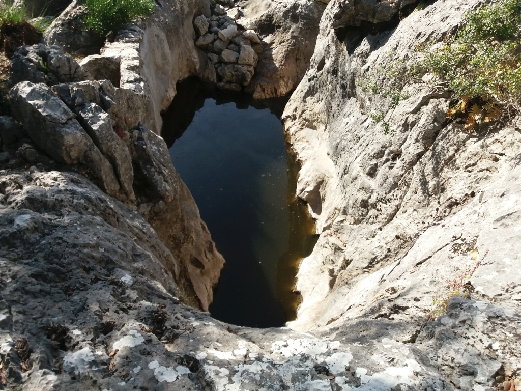Reserva Natural Fluvial Torrent de Comafreda - Picarols