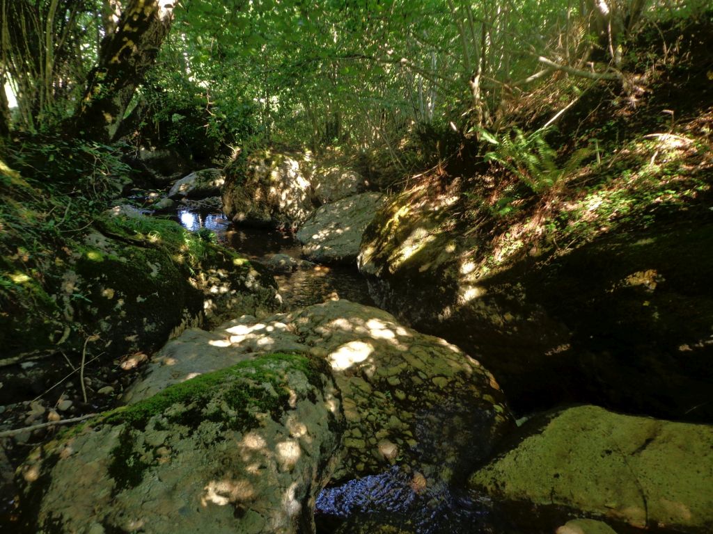 Cauce encajado en roca de la reserva natural fluvial Río Bullón