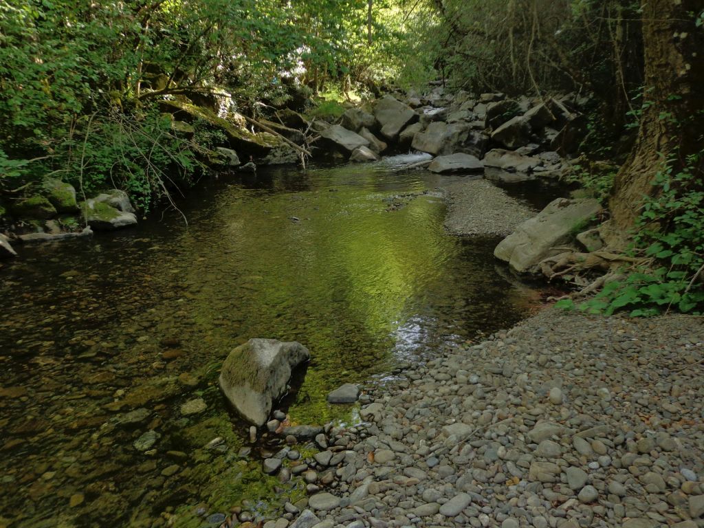 Aguas remansadas en la reserva natural fluvial Río Bullón