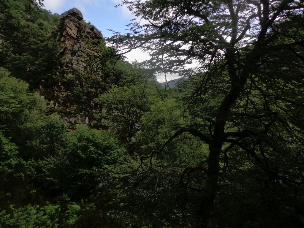 Vistas del valle desde el cauce de la reserva natural fluvial Cabecera del Saja