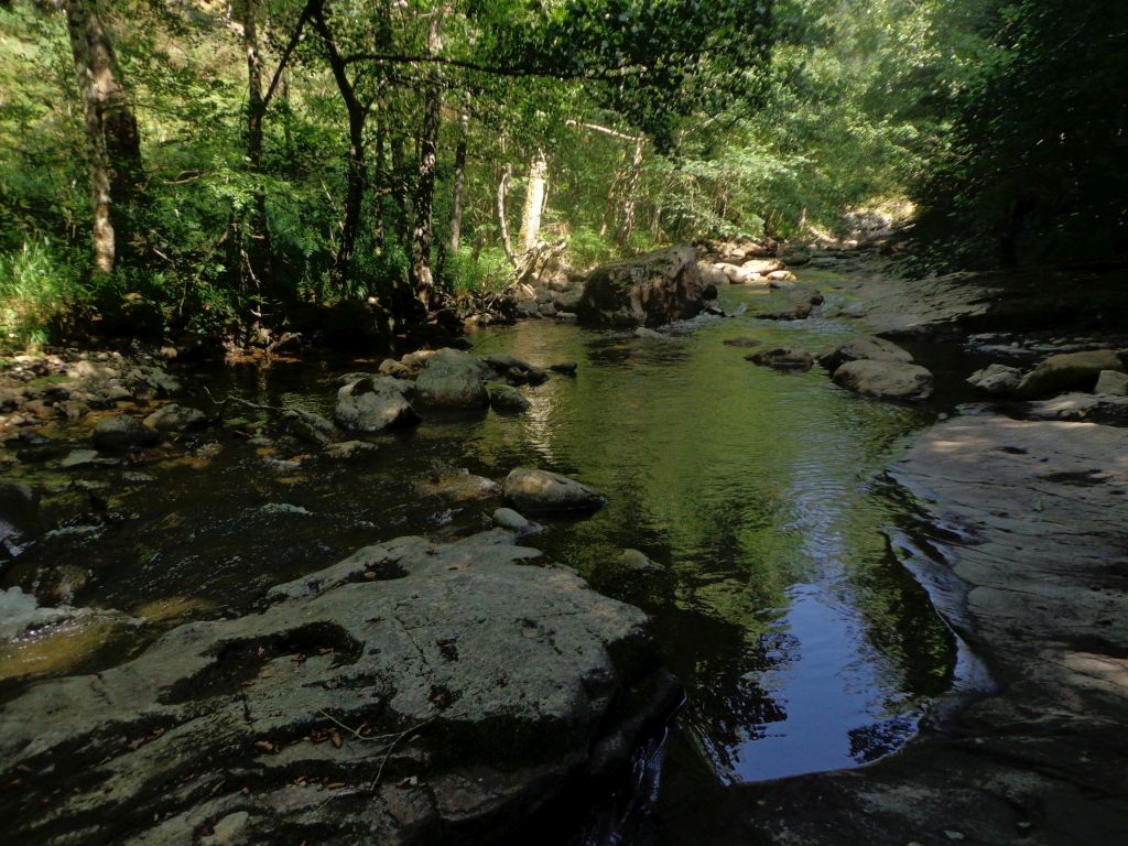 Remansos en la reserva natural fluvial Río Argonza y río Queriendo