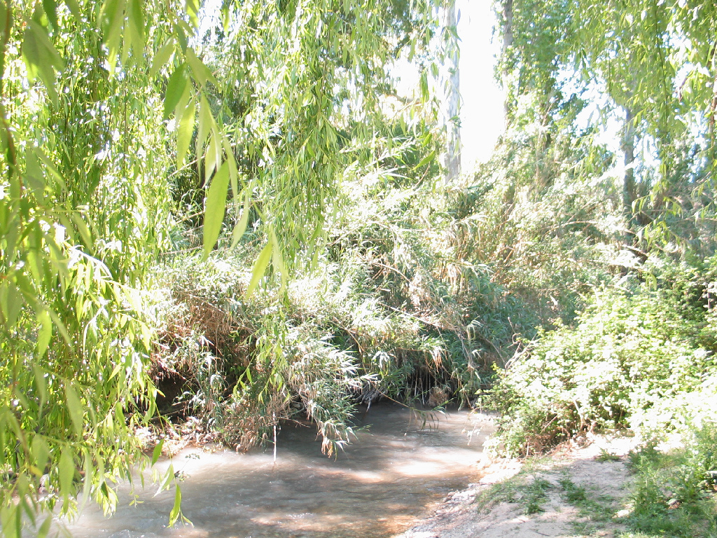 Reserva Natural Fluvial Arroyo Ballestero
