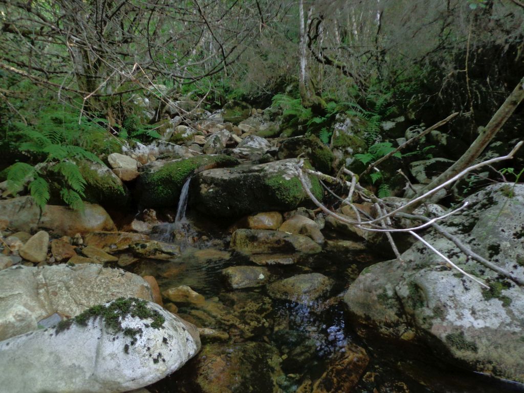 Bloques de piedra en el cauce de la reserva natural fluvial Río de Murias