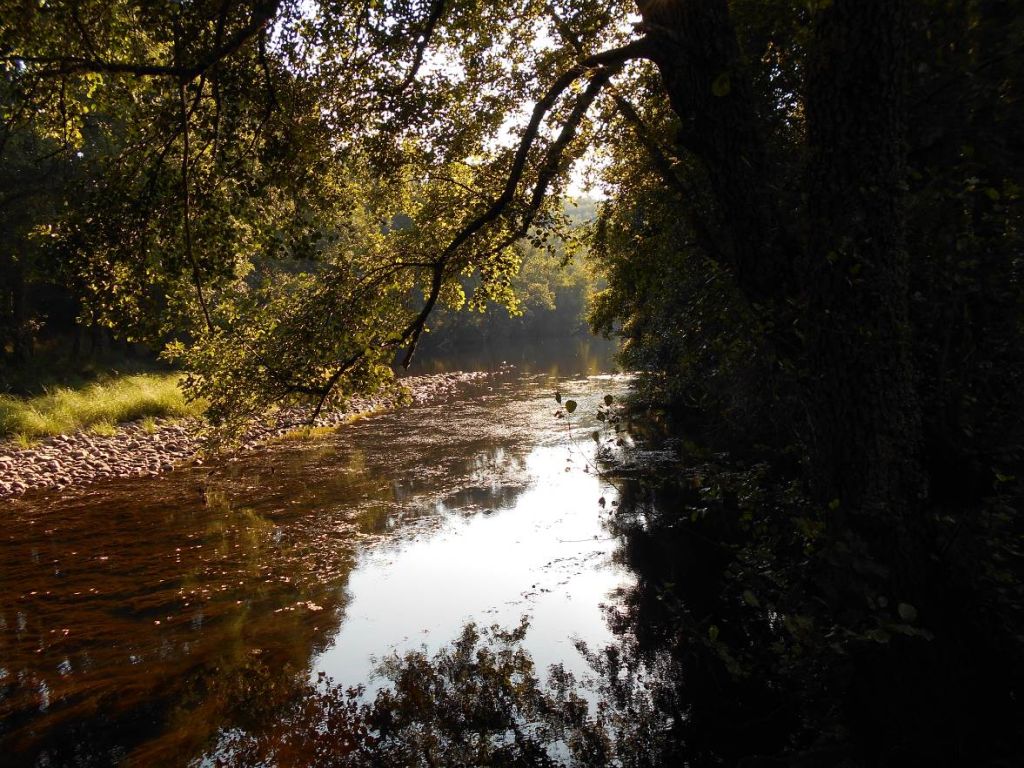 Una barra marginal aparece enmarcada por la conexión imbricada entre diferentes estratos de vegetación de ribera en la reserva natural fluvial Río Negro y afluentes