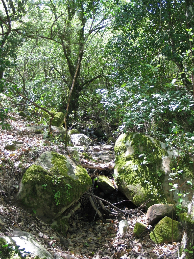 Reserva Natural Fluvial Garganta del Aliscar
