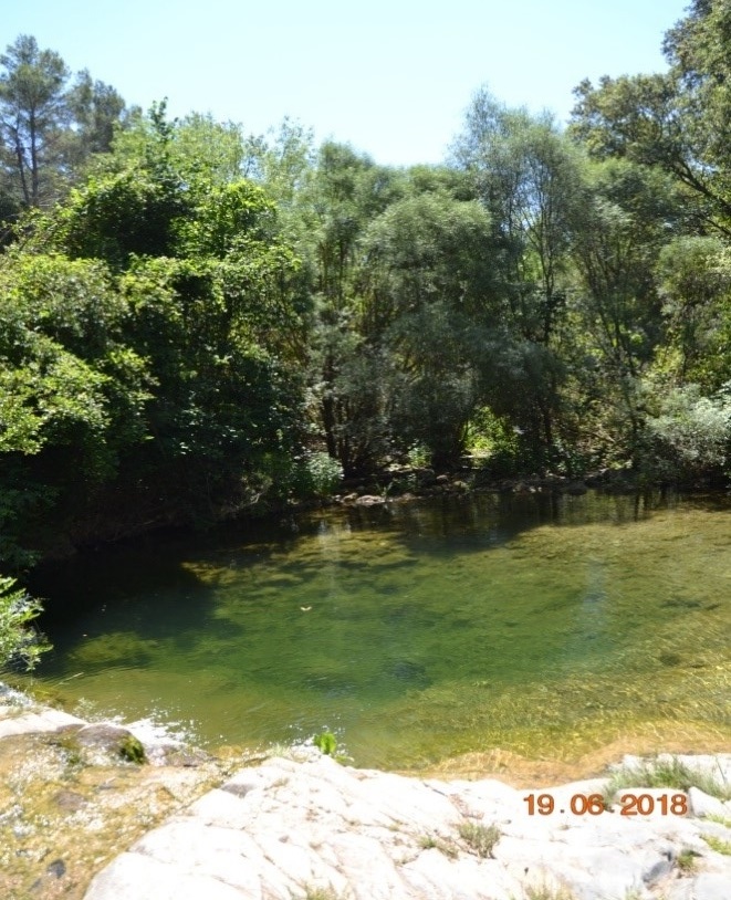 Reserva Natural Fluvial Cabecera de la Glorieta