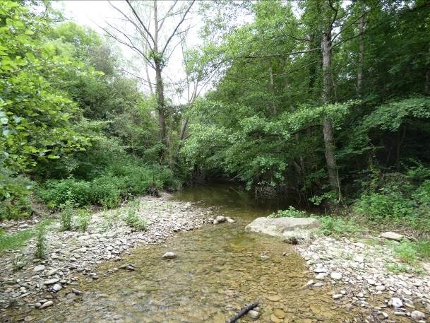 Reserva Natural Fluvial Río Fornés