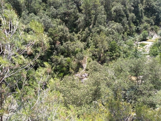Reserva Natural Fluvial Riera de Borró