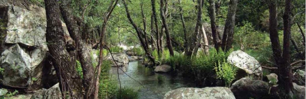 Reserva Natural Fluvial Raudal