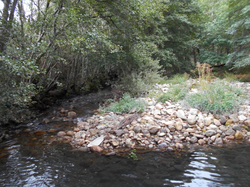 Cantos y gravas arrastrados por el río en la reserva natural fluvial Alto Duerna