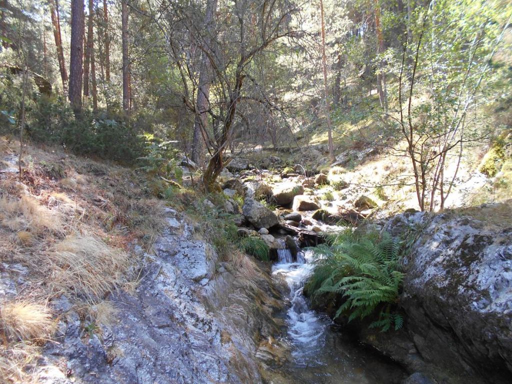Salto-Poza en un tramo de río confinado en la reserva natural fluvial Alto Eresma