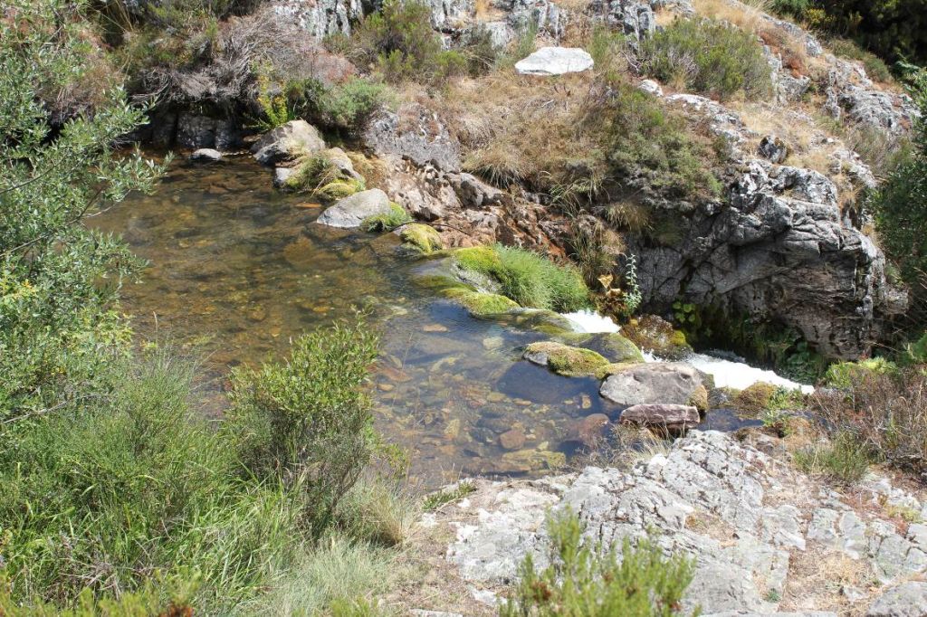 Azud sobre el río creando un salto artificial en la reserva natural fluvial Alto Porma y río Isoba