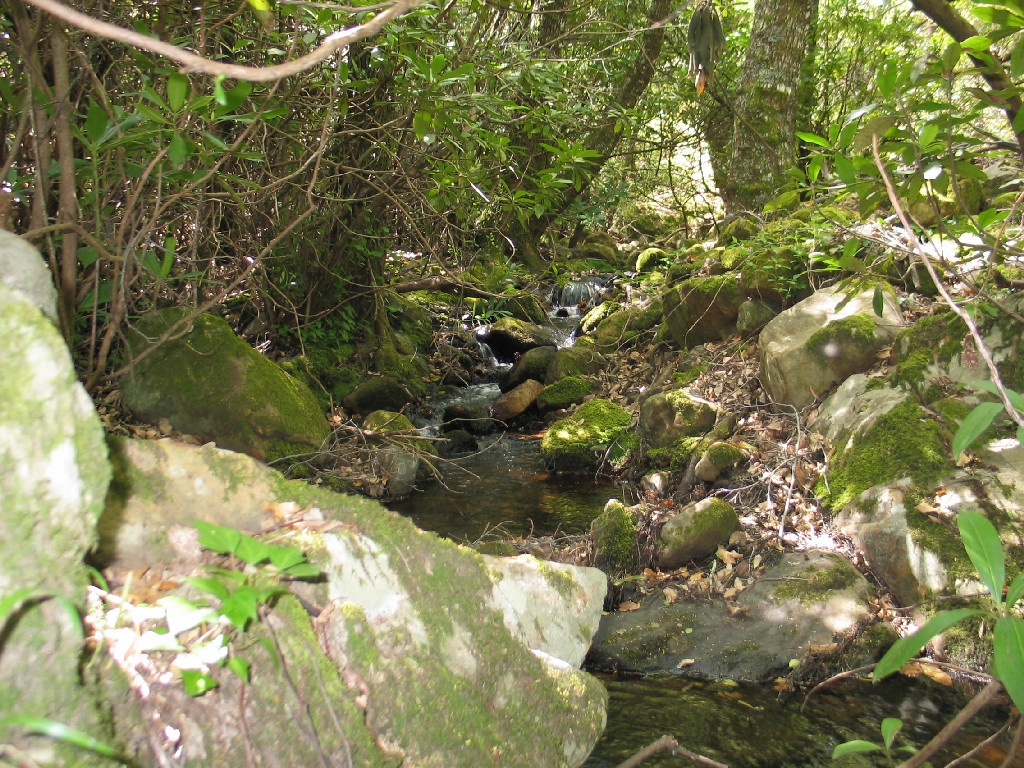 Reserva Natural Fluvial Garganta del Aliscar