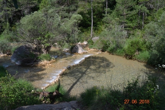 Reserva Natural Fluvial Tramo Medio del Aigua d'Ora